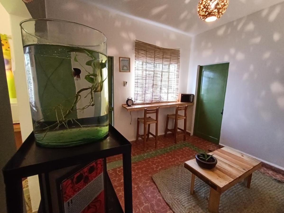 Posada Casa Mexicana Jamaica Kota Meksiko Bagian luar foto